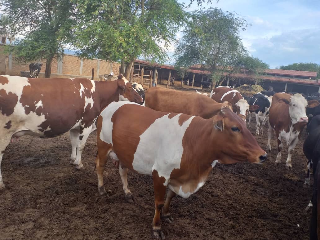 LIFEWAY Company Image