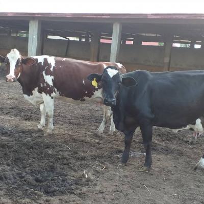 Whatsapp Image 2019 08 29 At 4.14.07 Pm 1